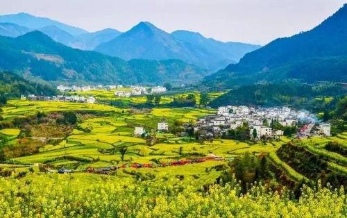 婺源最新爆料,最新爆料揭秘古村新颜 第3张 婺源最新爆料,最新爆料揭秘古村新颜 第3张